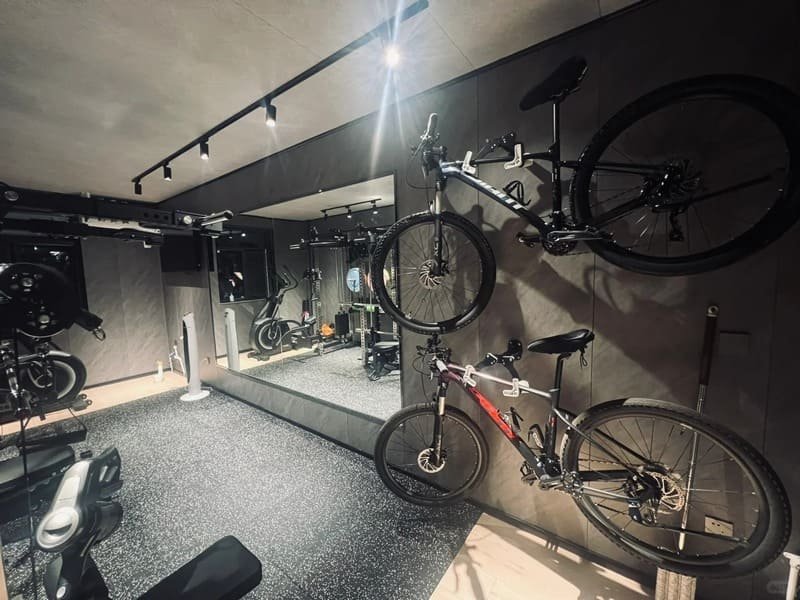 Bumper Plate Physics: Thickness and Bounce Height Comparison